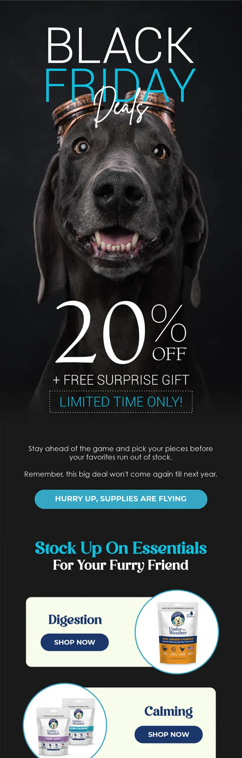 Email preview 1