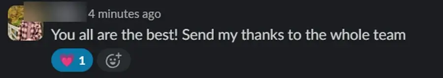 Comment Review Snippet
