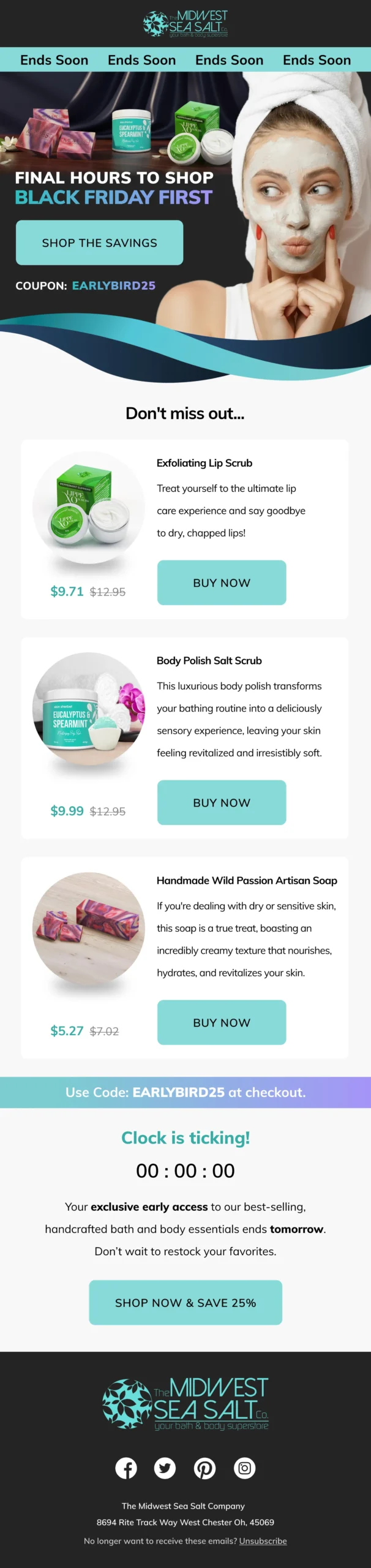 Email Designs 20 Enviary BC 11 scaled Enviary