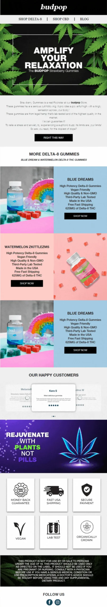 Email Designs 5 Enviary FS 5 scaled Enviary
