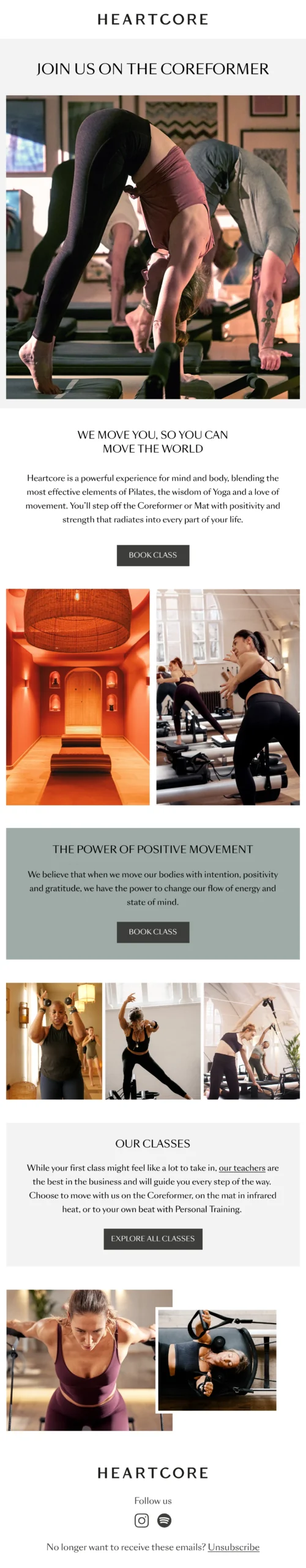 Email Designs 40 Enviary HF 8 scaled Enviary