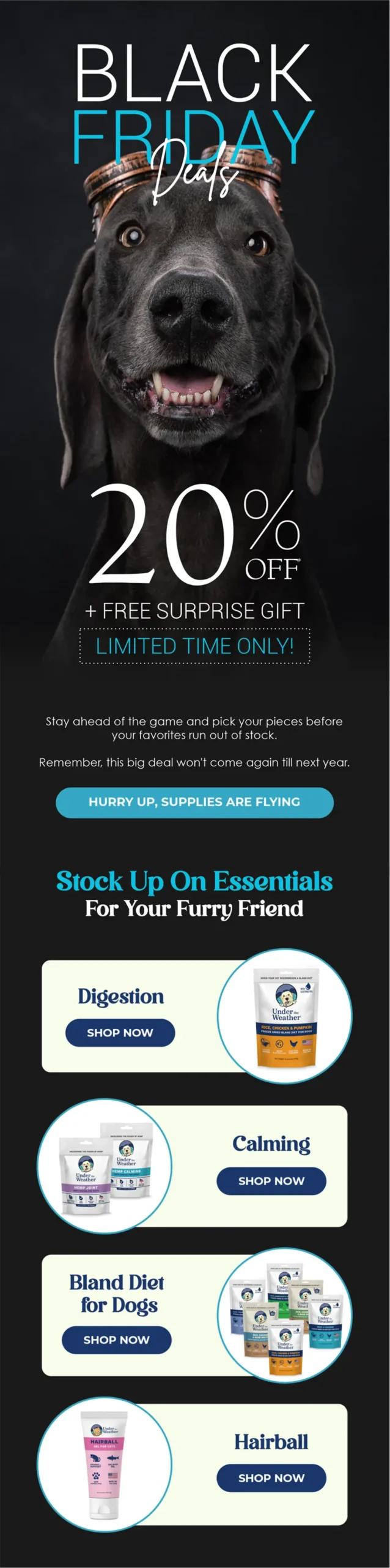 Email Designs 24 Enviary P 2 scaled Enviary