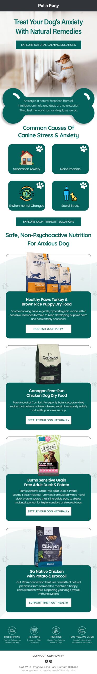 Email Designs 27 Enviary P 3 scaled Enviary