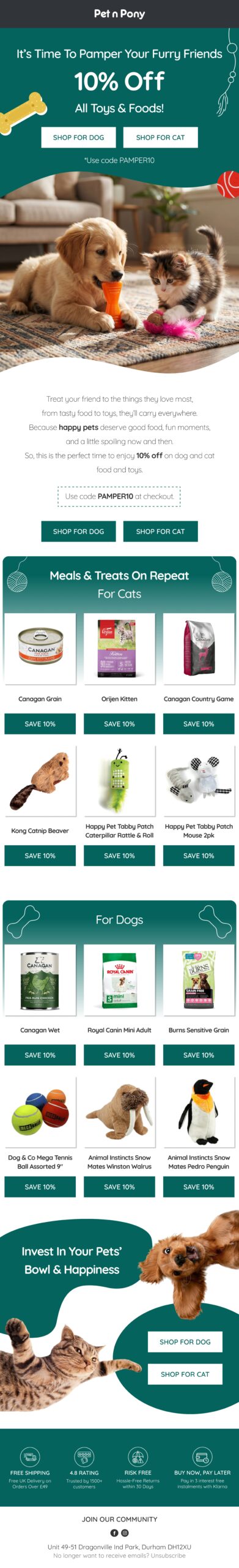 Email Designs 106 Enviary P 5 scaled Enviary