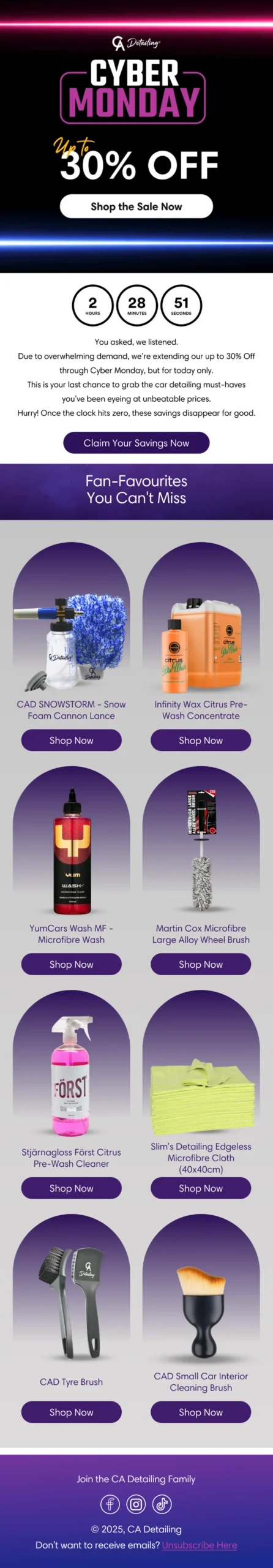 Email Designs 54 Enviary C1M7 Cyber Monday Sale VA 1 scaled Enviary